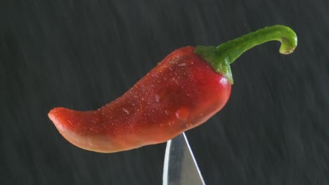 water spray on the red chili pepper