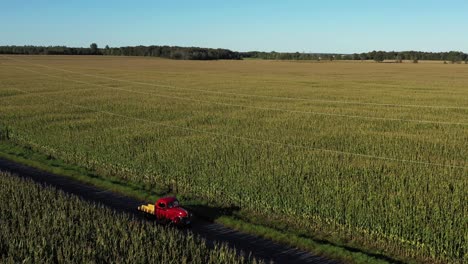 Oldtimer-Roter-LKW-Abgewinkelter-Rückflug-Durch-Maisfelder