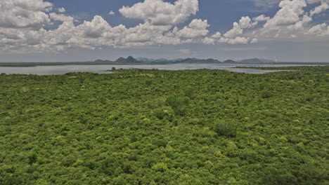 Bogahawewa-Sri-Lanka-Aerial-V1-Drohnenüberflug,-Der-Atemberaubende-Ausblicke-Auf-Die-üppige-Grüne-Landschaft-Und-Den-Ruhigen-Stausee-Des-Lunugamvehera-Nationalparks-Von-Oben-Einfängt-–-Aufgenommen-Mit-Mavic-3-Cine-–-April-2023