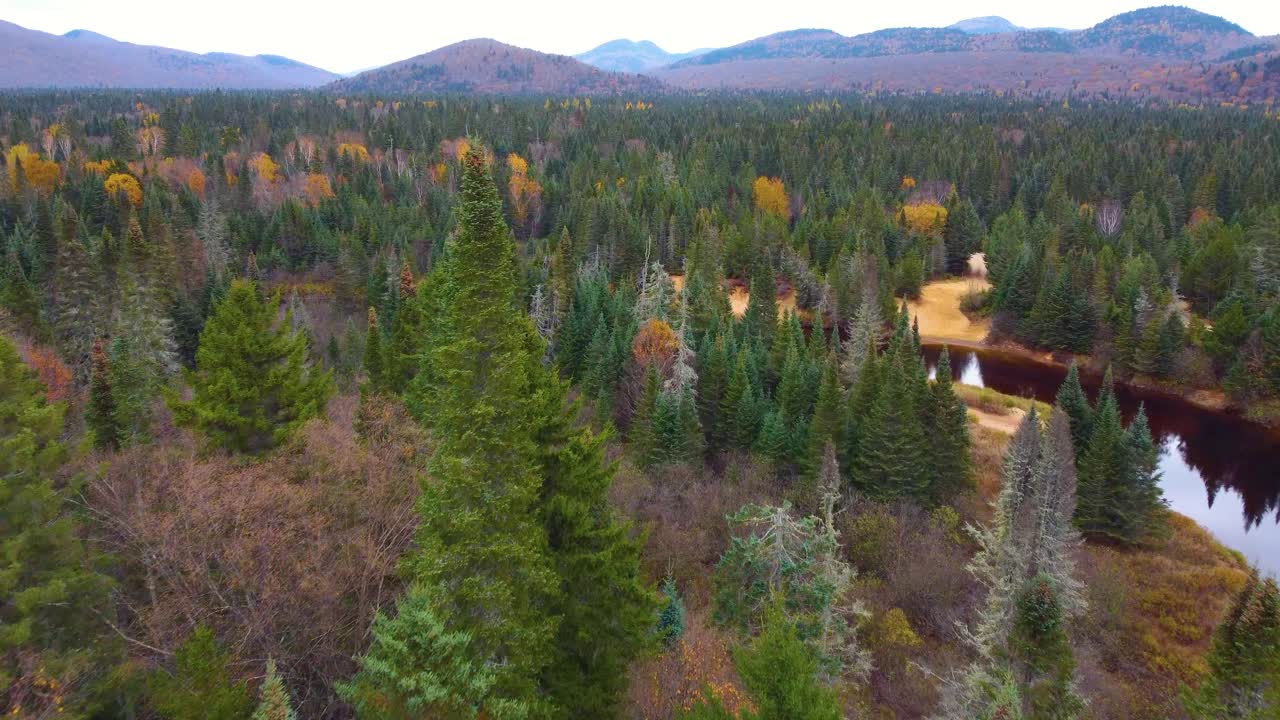 Autumn forest with a wide river against the backdrop of mountains, Mont Tremblant, Québec, Canada