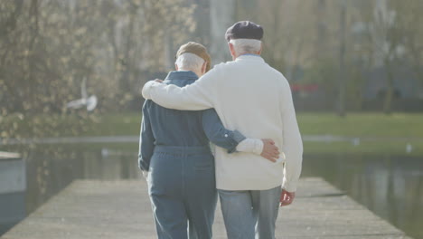 back view of elderly couple walking in step along wooden pier in city park