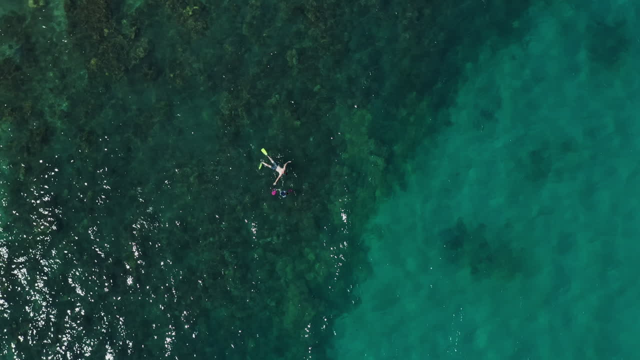호주 피츠로이 섬의 암초 위로 스노클링하는 두 사람