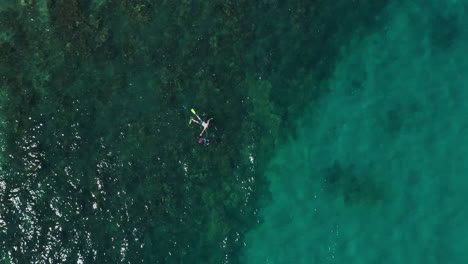 Two-people-snorkelling-over-the-reef-at-Fitzroy-Island-in-Australia