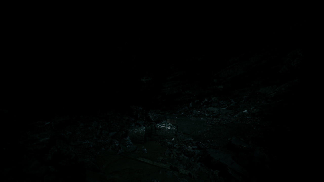 Unearthly darkness envelops the forest floor near the riverbank at night