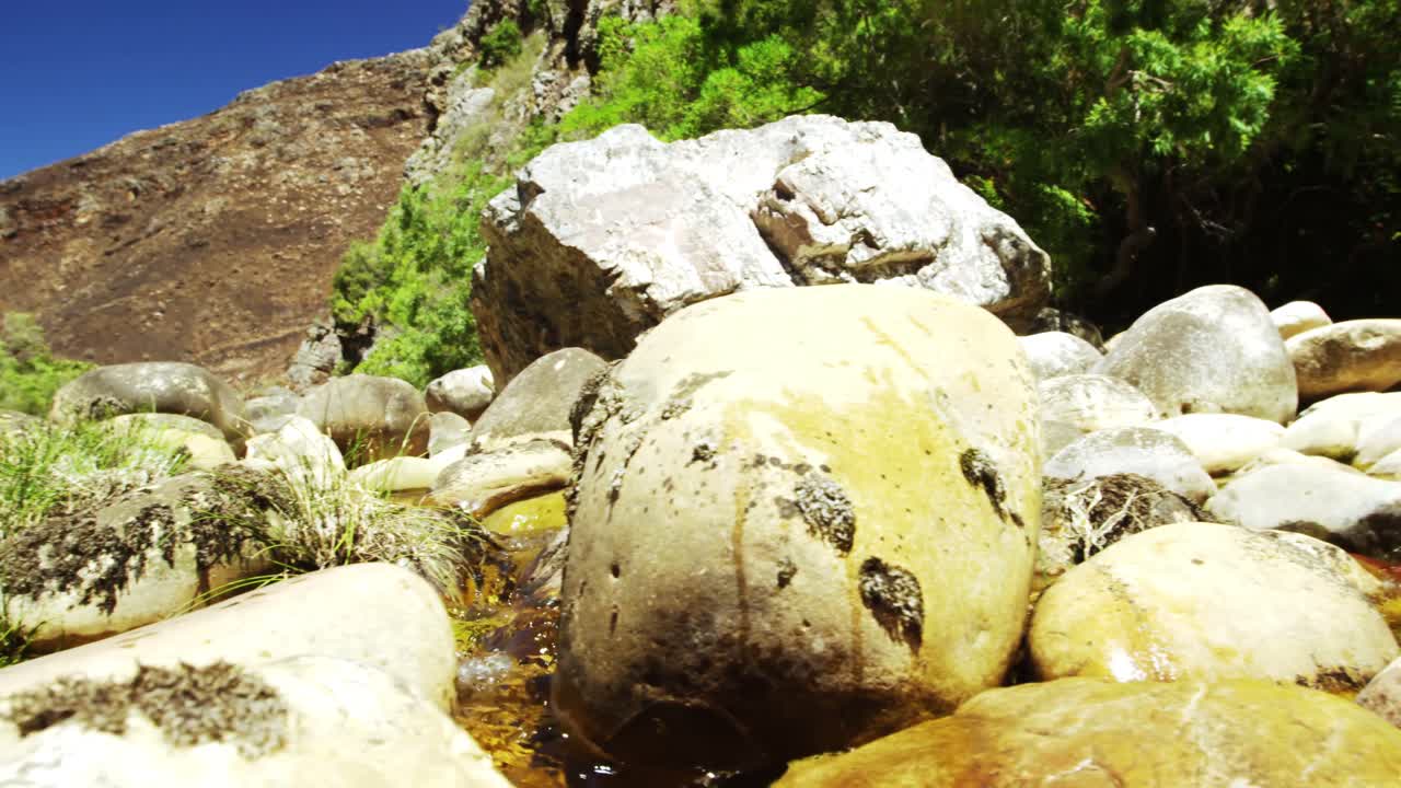 바위 와 풀 을 통해 흐르는 강 물