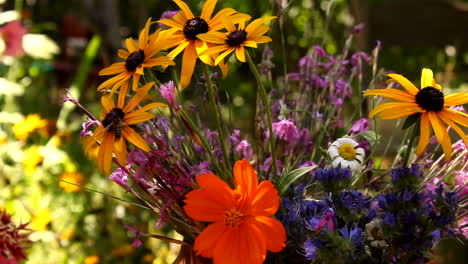 bouquet of autumnal flowers in sunny garden with bees flying around