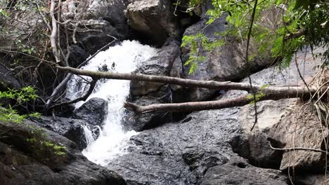 cascada oculta en un bosque exuberante