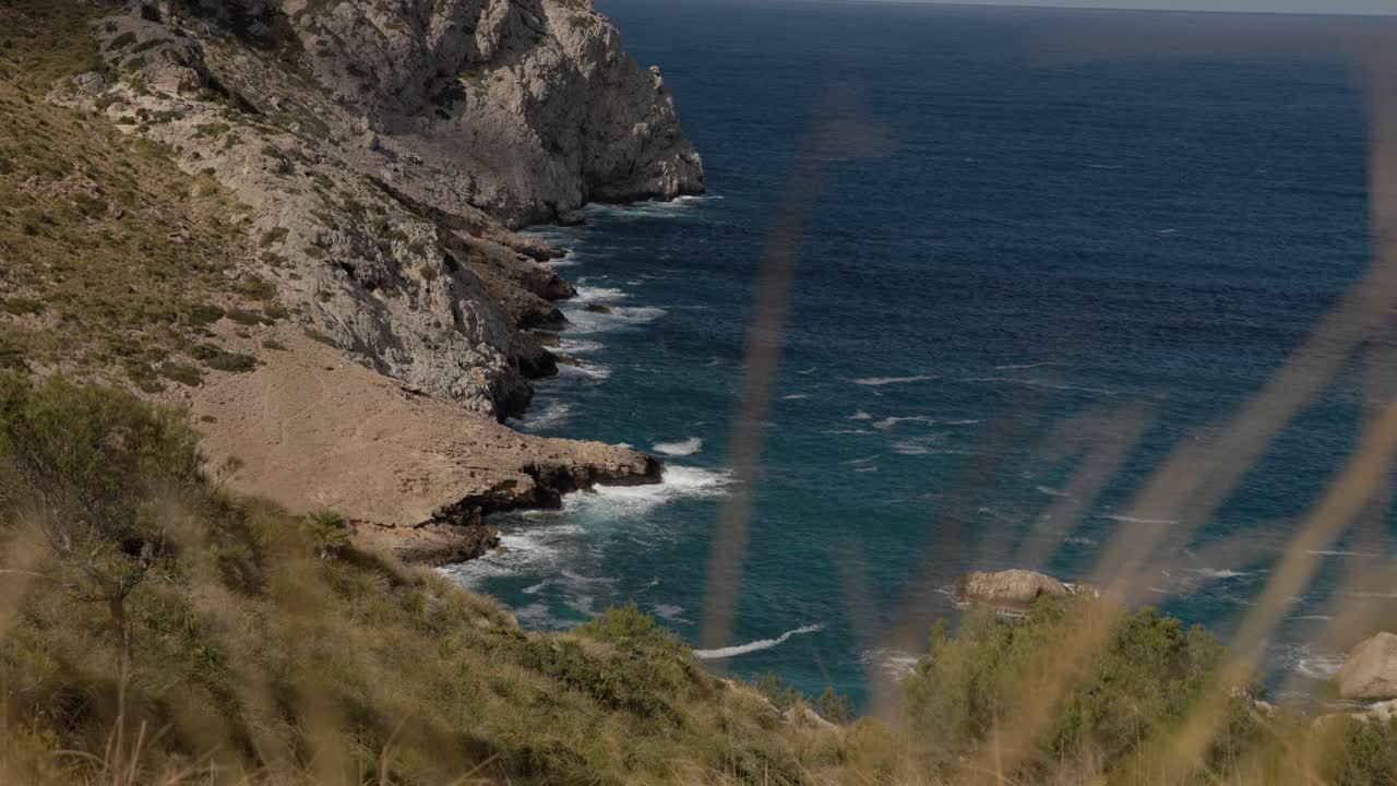 Scogliere frastagliate e mare blu intenso lungo la costa di Maiorca con piante che ondeggiano in primo piano, rivelano