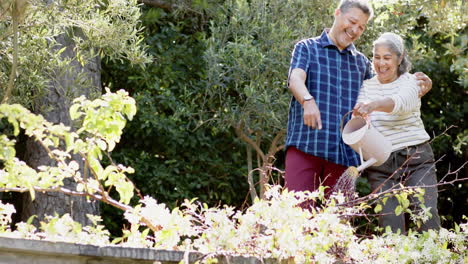 Happy-biracial-senior-couple-watering-plants-in-sunny-garden