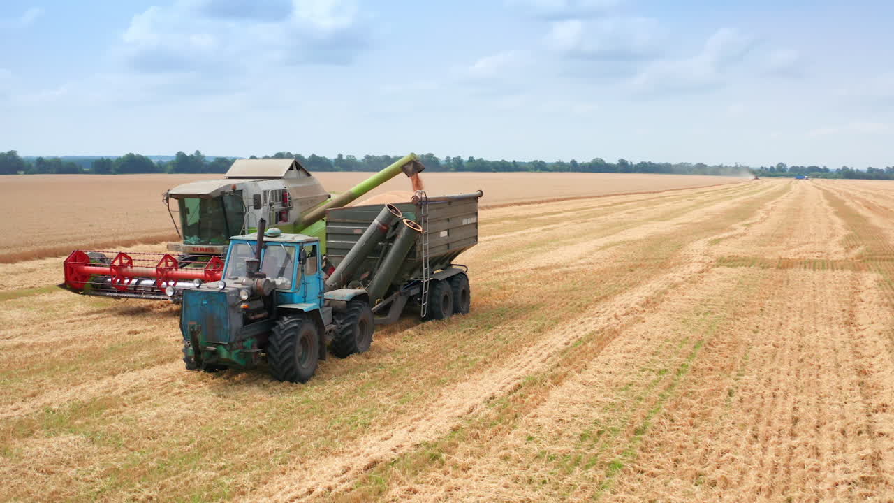 Green harvester has picked the crop of wheat. Combine uploads gathered grain into tractor machine. Circle footage around the vehicles.