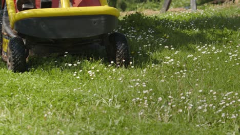 Domestic-tractor-mowing-lawn-with-white-flowers,-front-view