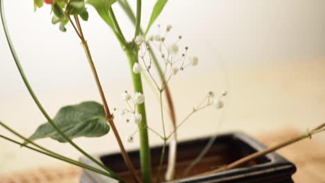 백합의 꽃꽂이 장식, 클로즈업, 카메라 슬라이드 다운
