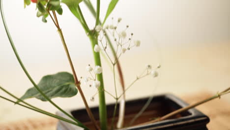 ikebana decoration of lilies, close up, camera slide down