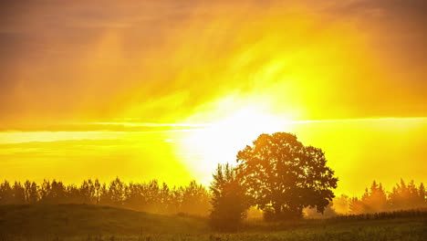 countryside against a bright golden horizon with misty sunrise