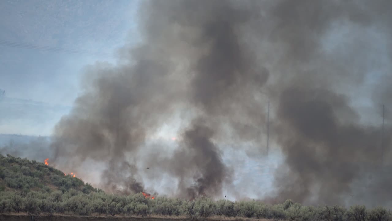 산불 이 땅 을 가로지르고 있다