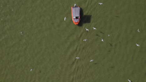 Zwei-Kleine-Motorboote-überqueren-Den-Rahmen-Im-Lake-Of-Yarkon-Park,-Der-Park-Liegt-Im-Zentrum-Von-Tel-Aviv,-Besucher-Kommen-Zum-Picknicken,-Zum-Mieten-Eines-Fahrradboots-Und-Zu-Spielplätzen-Für-Kinder