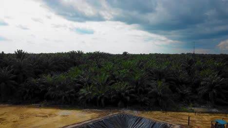 cinematic drone footage of onshore drilling rig equipment structure for oil exploration and exploitation in the middle of jungle surrounded by palm oil trees during sunset and high oil price