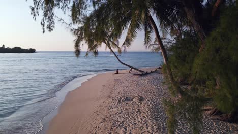 woman sitting lonely alone palmtree at dream paradise beach