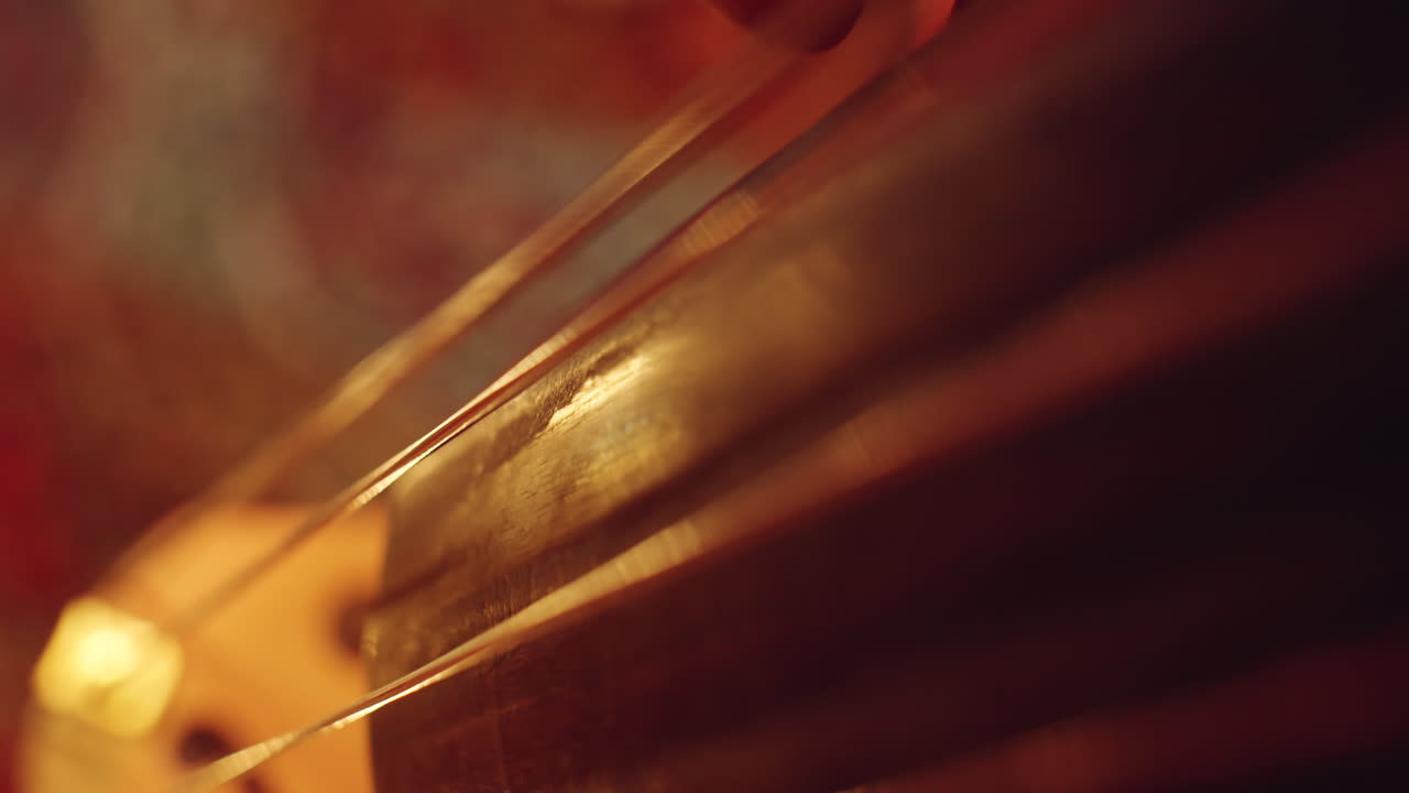 la mano de un músico tocando el contrabajo