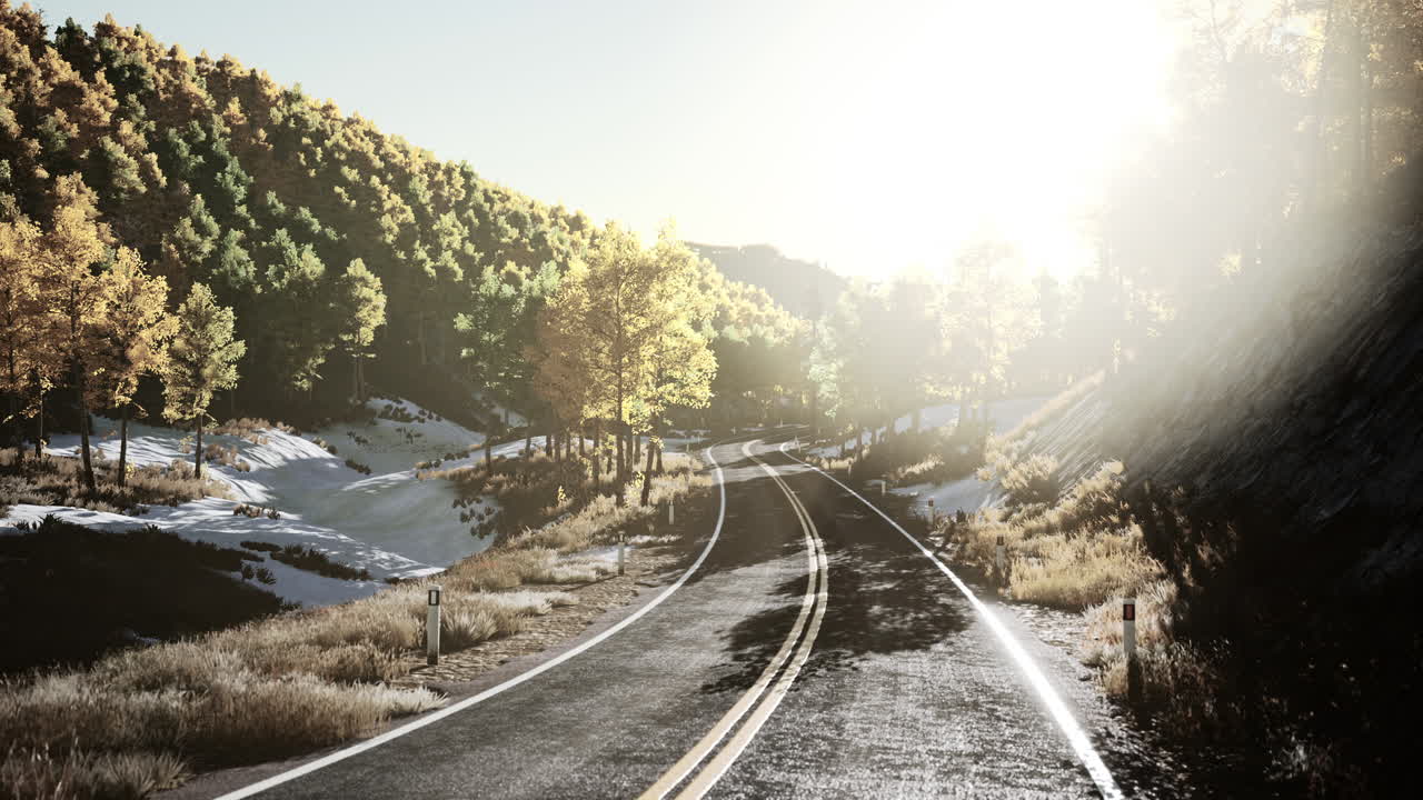 아름다운 가을 숲 에 있는 곡선 도로 의 공중 전망