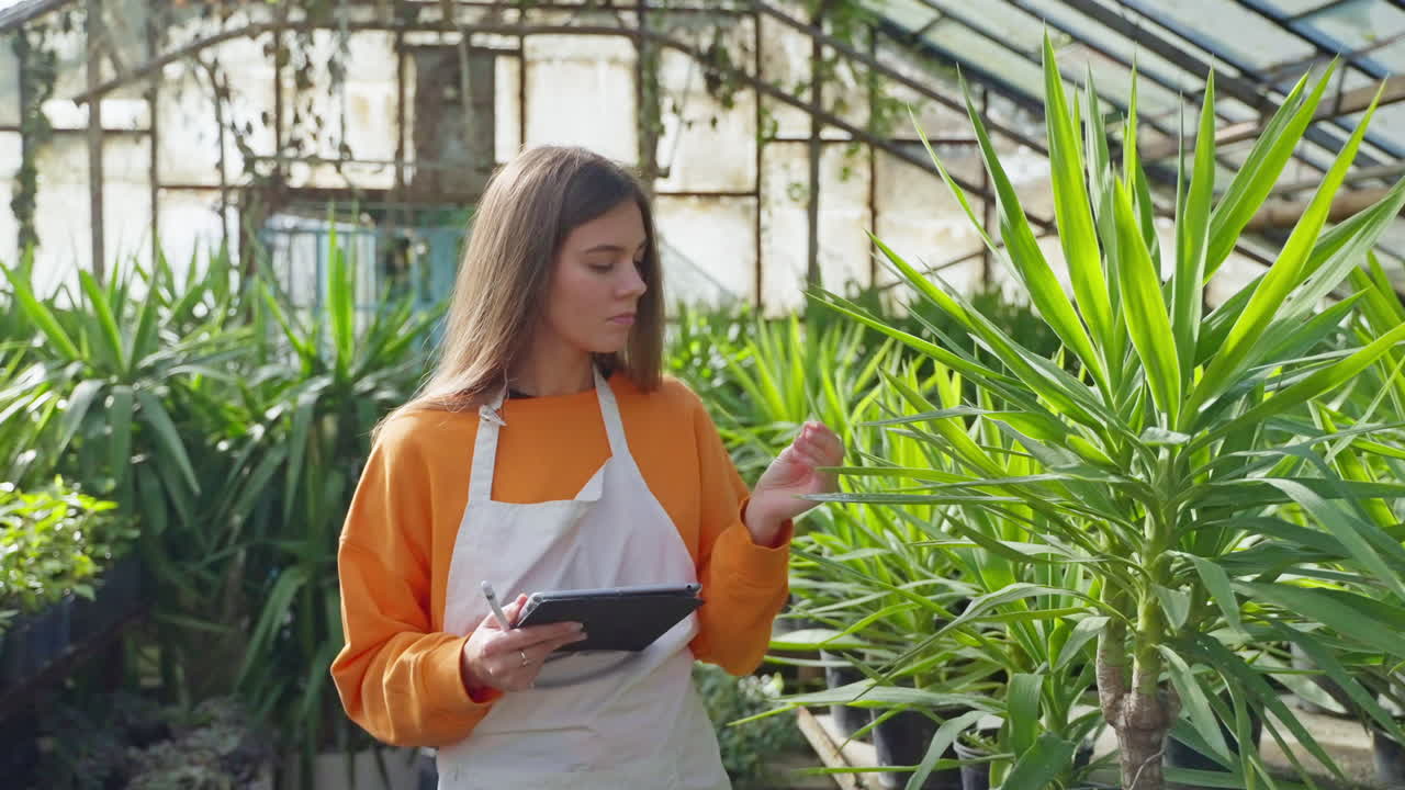mujer inspeccionando plantas en un invernadero