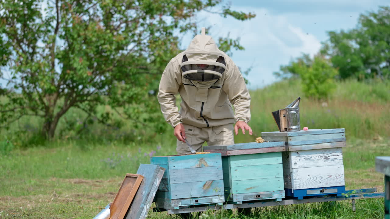Apiarist in protective outfit using the metal tool to gather the extra wax from frames. Beekeeper taking care of his farm. Nature green backdrop.