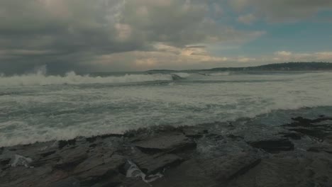 north narrabeen rock pools 9