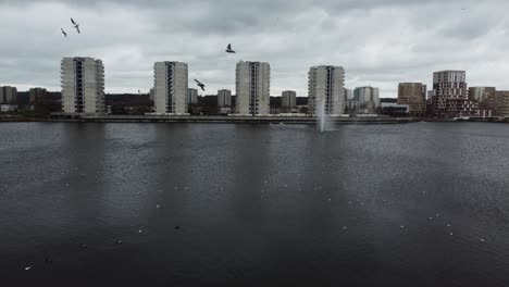 Aerial-view-of-city-buildings-in-the-background-of-a-like-with-countless-white-birds-on-the-lake-surface