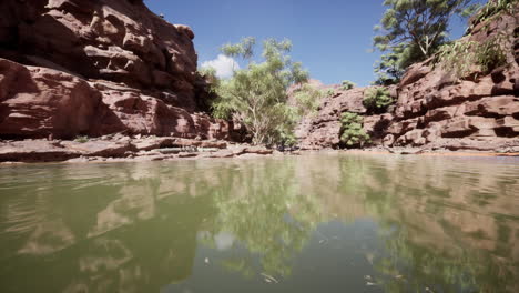 red rock canyon with a creek