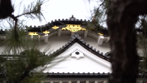 beautiful close up of ancient typical castle in japan in between trees