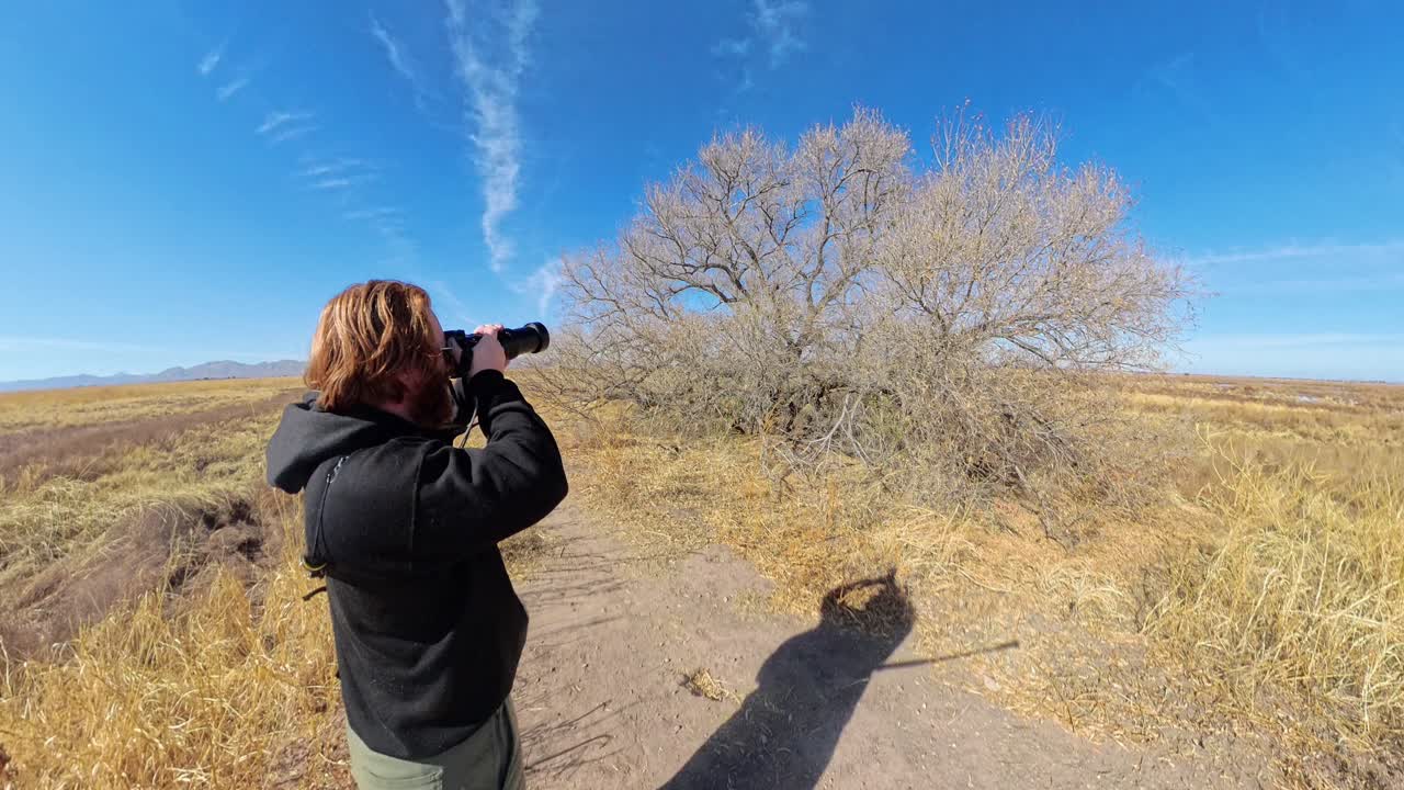 Photographer filming a bird in a dry tree in the Arizona Grassland.