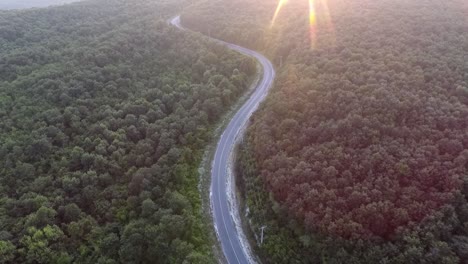 curved road between forest at sunset drone view