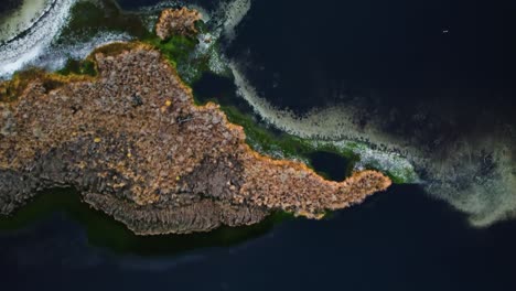 Satellite-top-down-view-of-the-lakes-edge-and-rocky-islands-of-Kalmthoutse-Heide-Antwerp,-Belgium