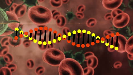 animación digital de la estructura del adn que gira sobre múltiples células y vasos sanguíneos de covid-19