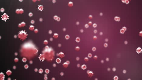 Animation-of-virus-cells-on-red-background