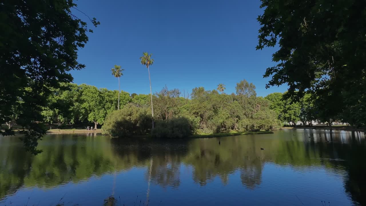 4k Hyde Park Perth blue lake green inner-city oasis wide trees at edges
