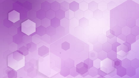 animated purple color hexagonal design abstract pattern. geometrical background with grid. loop motion graphic.