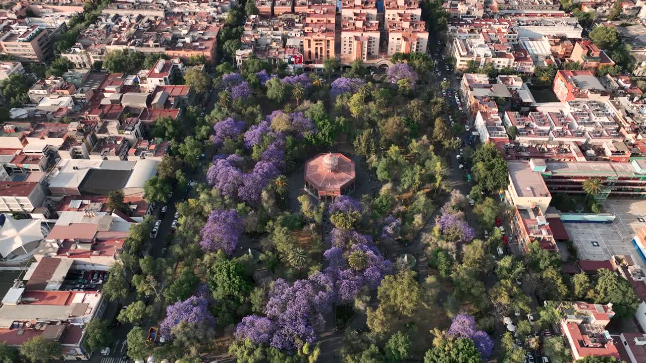 Overhead Shot Of Stunning Garden Park In Mexico City At Sunny Day