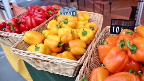 at the agriculture festival in the united arab emirates, locally grown bell peppers are showcased and offered for sale