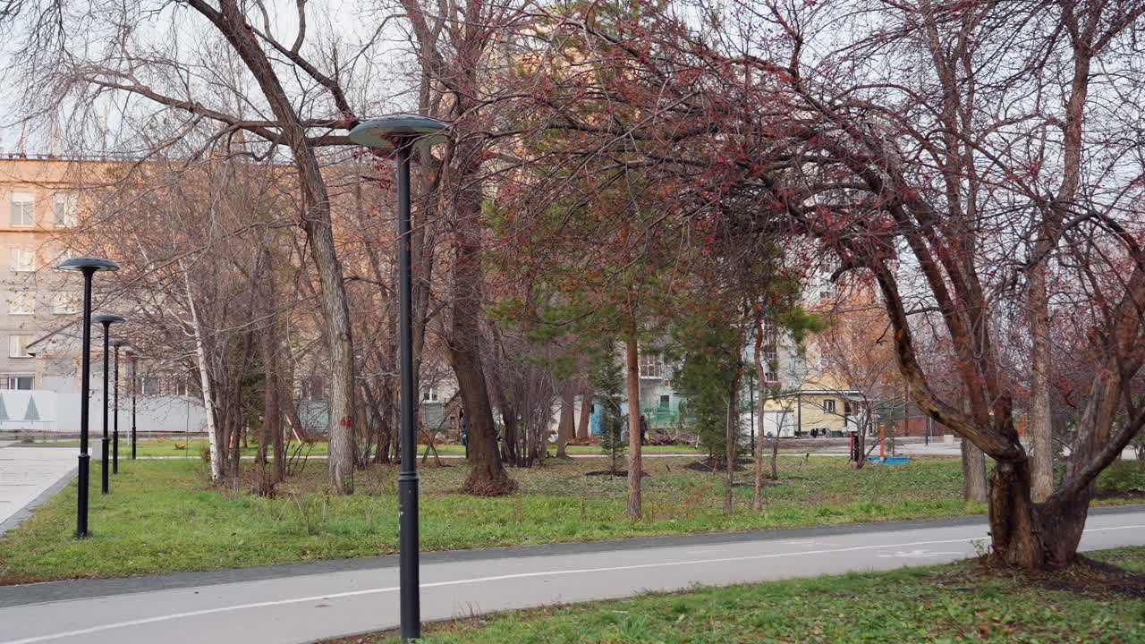 Trees sway along winding park path as people stroll past lamp posts and bare branches, autumn leaves lightly scattered on grass and pavement, distant buildings visible through trunks