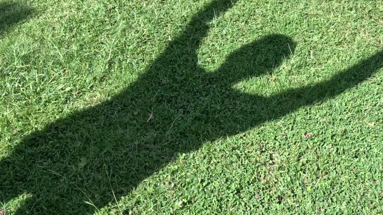 A series of expressive human shadow movements captured on a vibrant grassy surface.