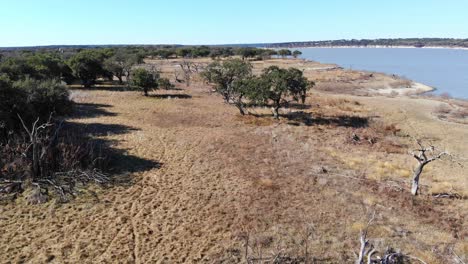 volando en línea recta a media altura rápidamente sobre la hierba marrón hacia los grandes robles y luego diagonalmente sobre un conjunto más pequeño de árboles y acercándose al lago azul brillante