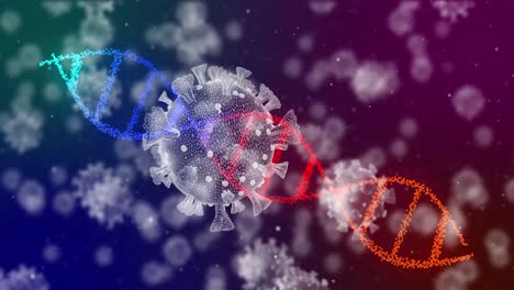 dna structure and covid-19 cells spinning against colorful gradient background