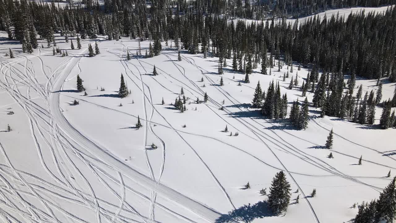Eccellente vista aerea di un uomo che si fa strada in motoslitta tra i pini sulle montagne