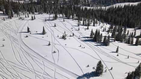 Excelente-Vista-Aérea-De-Un-Hombre-Pasando-Por-Pinos-En-Moto-De-Nieve-En-Las-Montañas