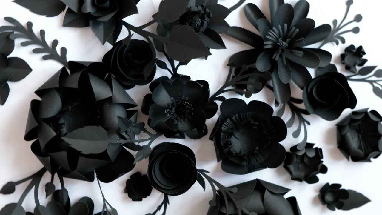 черные бумажные цветы на белом фоне вращаются в кругу