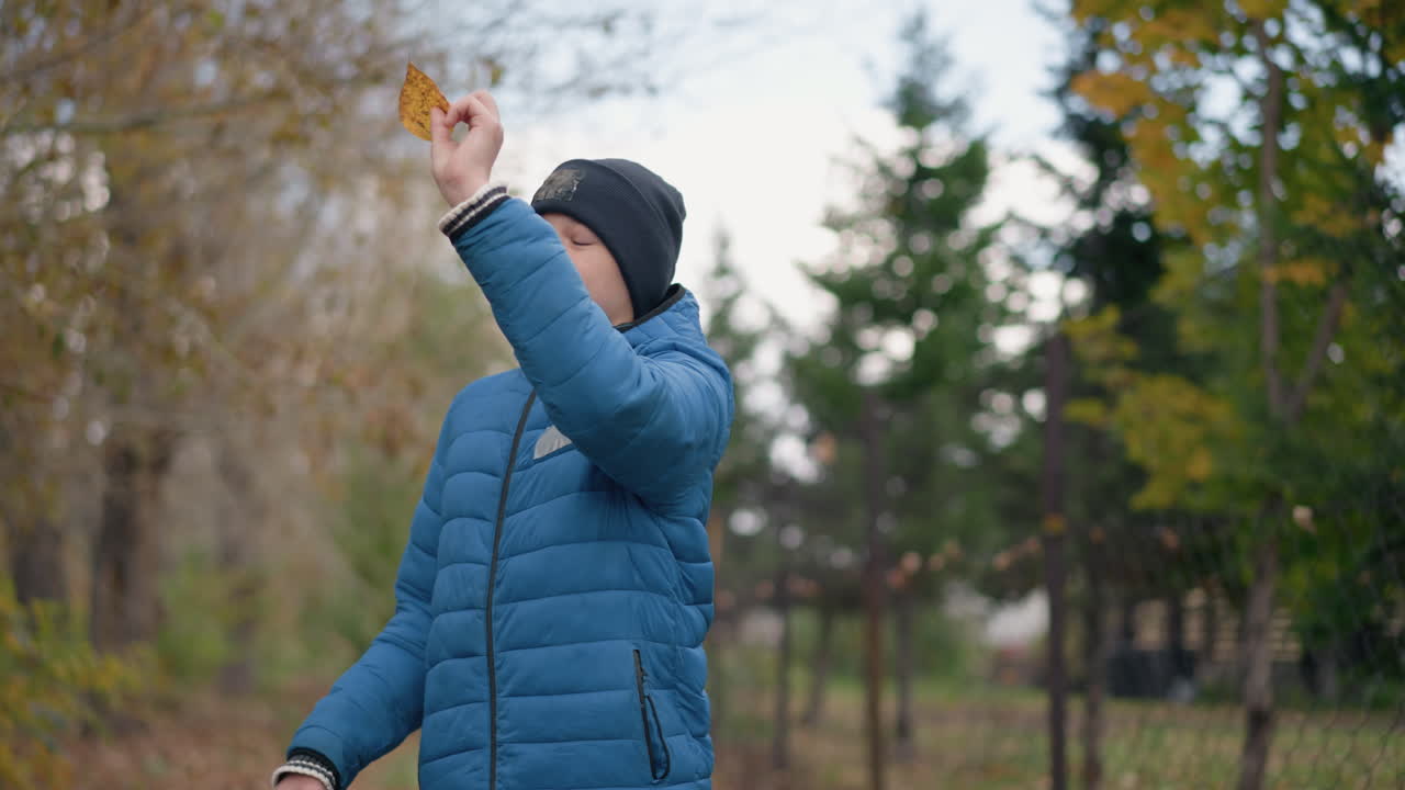 русский мальчик в синей куртке и шапочке наклоняется, чтобы забрать желтый лист с земли, внимательно наблюдает за ним, прежде чем поместить его в бумажный мешок, стоя в яркой осенней обстановке на открытом воздухе