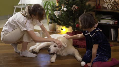 Mother-and-daughter-stroking-golden-retriever-dog-on-the-floor-under-decorated-new-year-tree