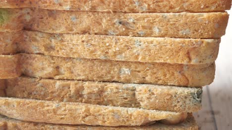 rebanadas de pan con moho
