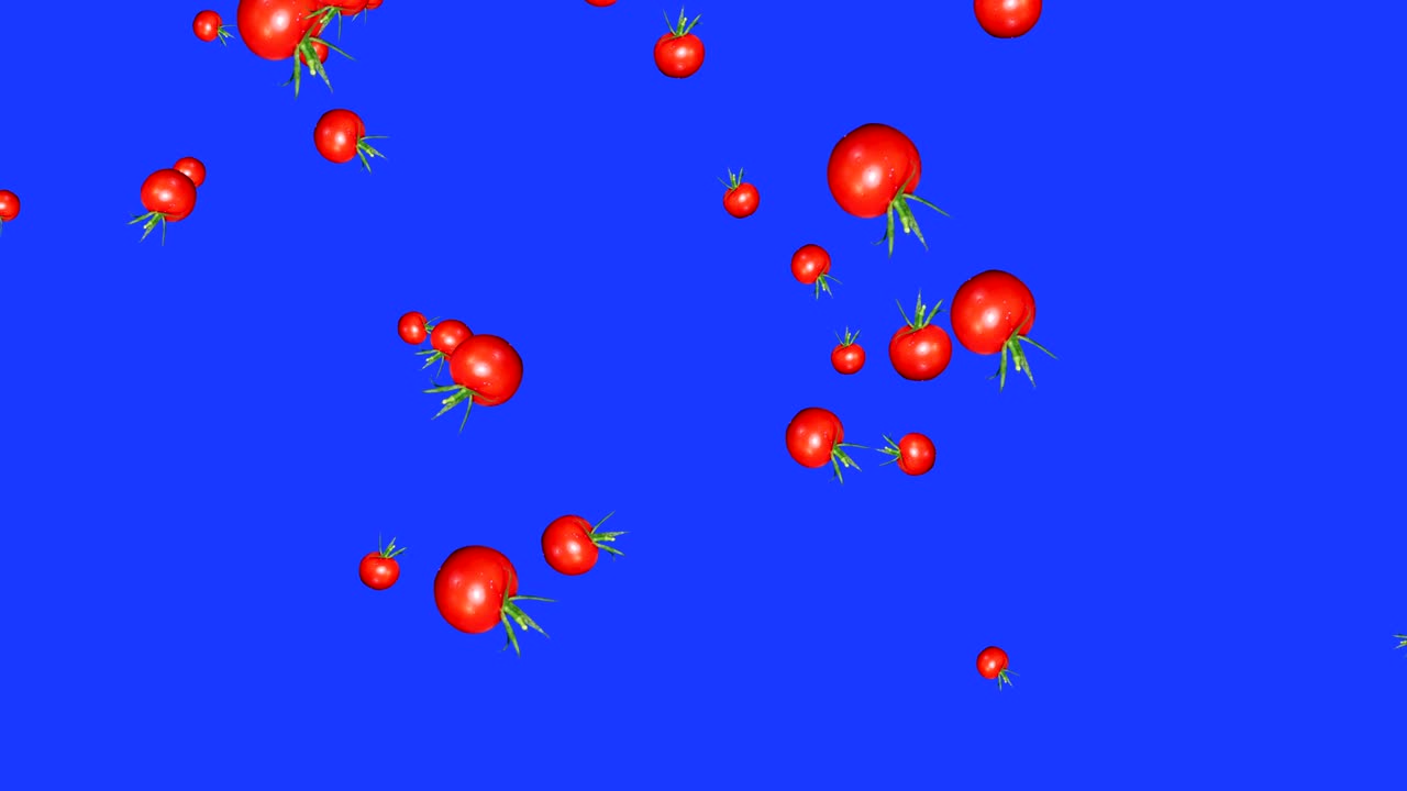 las verduras que caen animación croma elemento clave bucle, tomate